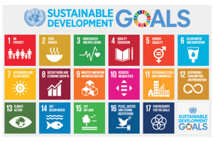 Webináře Agenda 2030 OSN pro členy zdarma